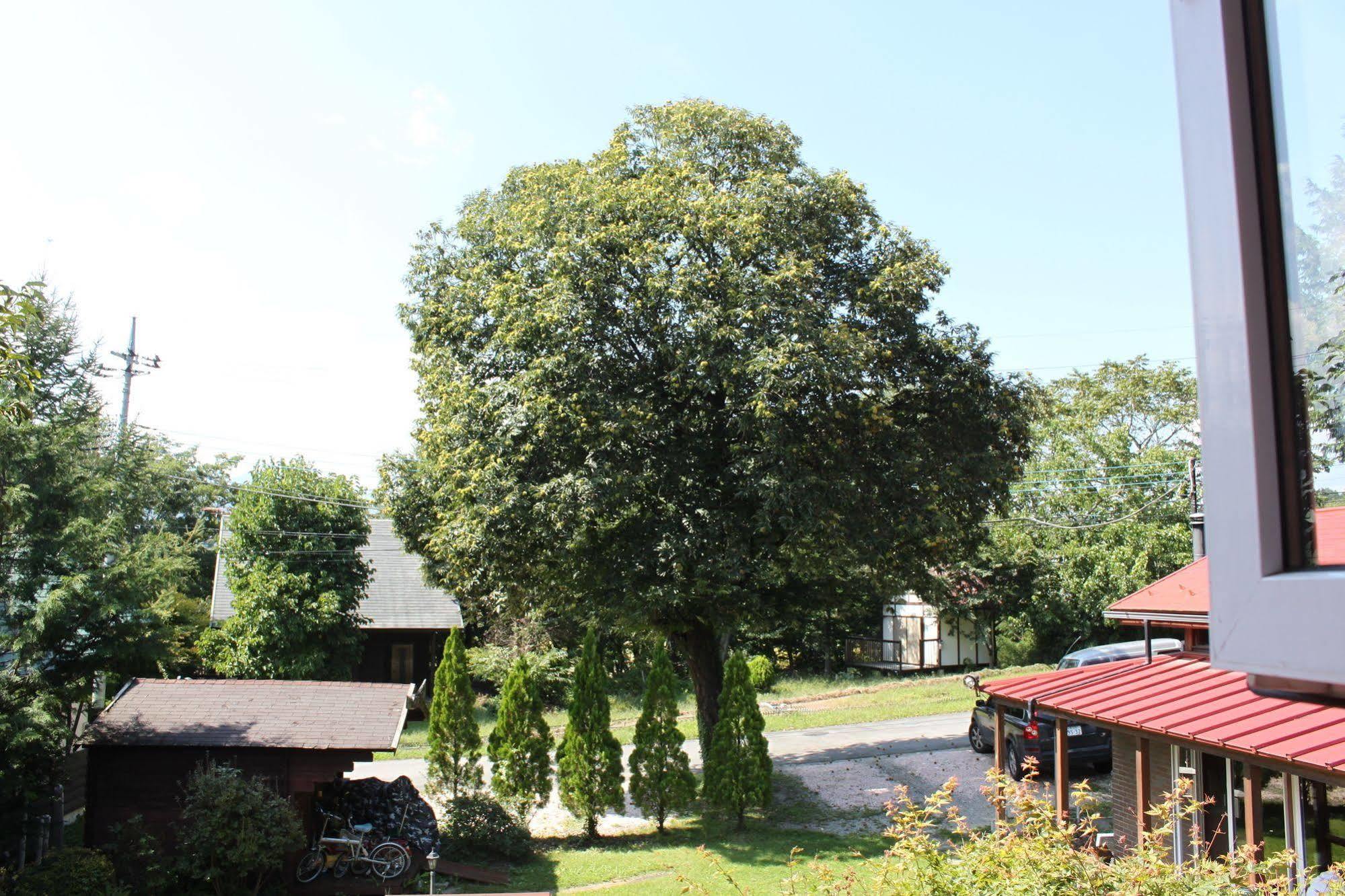 Pension Field Hokuto  Kültér fotó